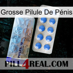 Grosse Pilule De Pénis 39